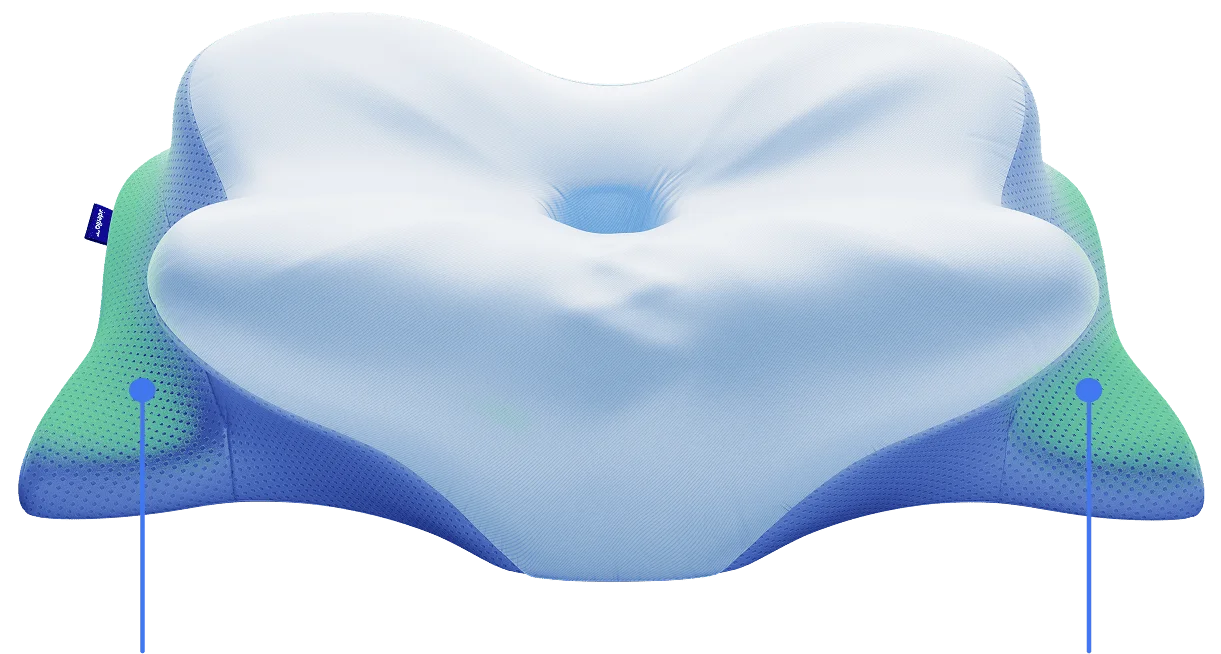 Derila Ergo Pillow special discount